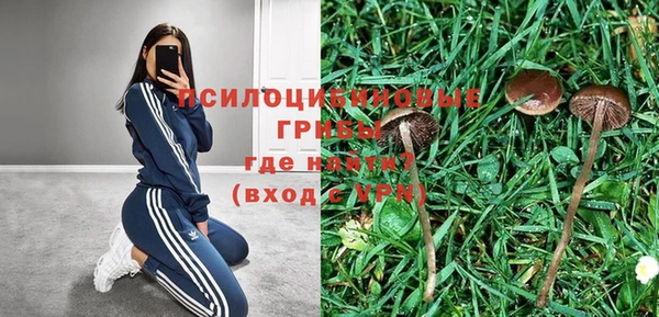 спайс Аркадак